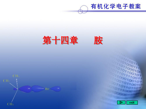 14、邢其毅版基础有机化学第二版课件--胺