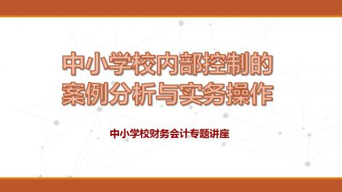 中小学校内部控制的案例分析与实务操作财务会计专题讲座PPT模板