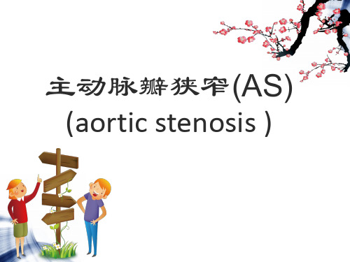 主动脉瓣狭窄ppt课件