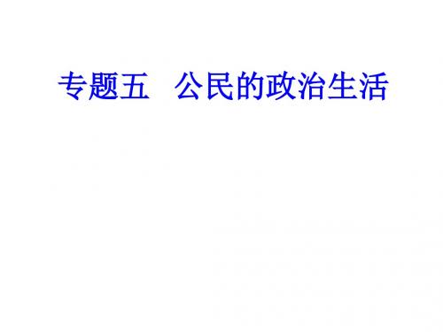 高考政治学业水平测试一轮复习专题五公民的政治生活考