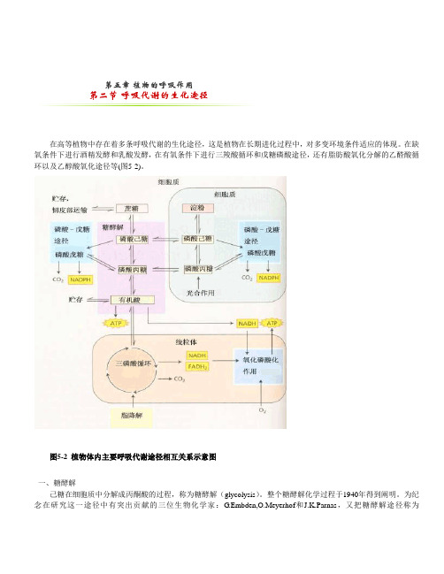 第二节 呼吸代谢的生化途径