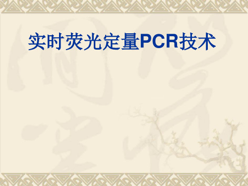 齐全版(荧光PCR技术)ppt课件