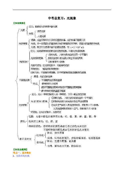 中考物理专题复习：光现象知识讲解及训练(含答案)