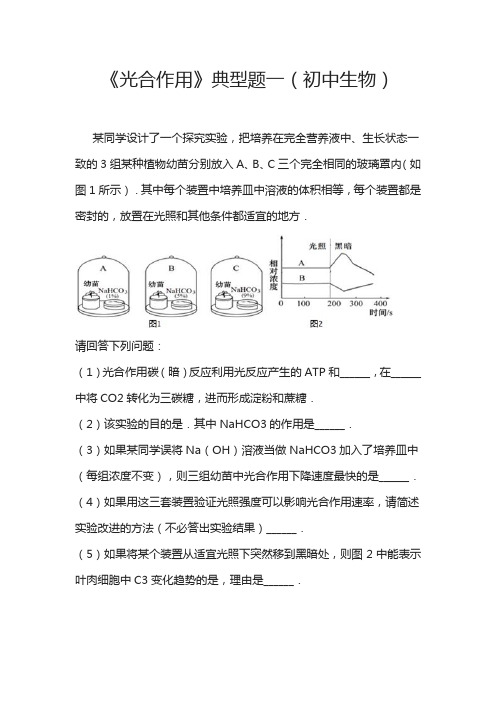 《光合作用》典型题一(初中生物)