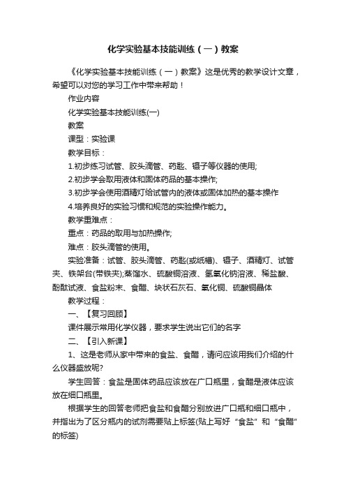 化学实验基本技能训练（一）教案