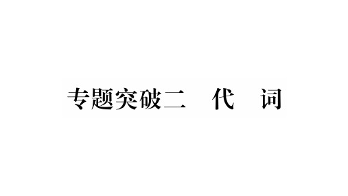 中考英语云南专用语法习题课件：专题二 代词 (共16张PPT)