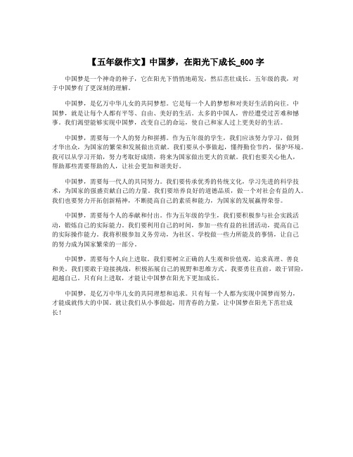 【五年级作文】中国梦,在阳光下成长_600字