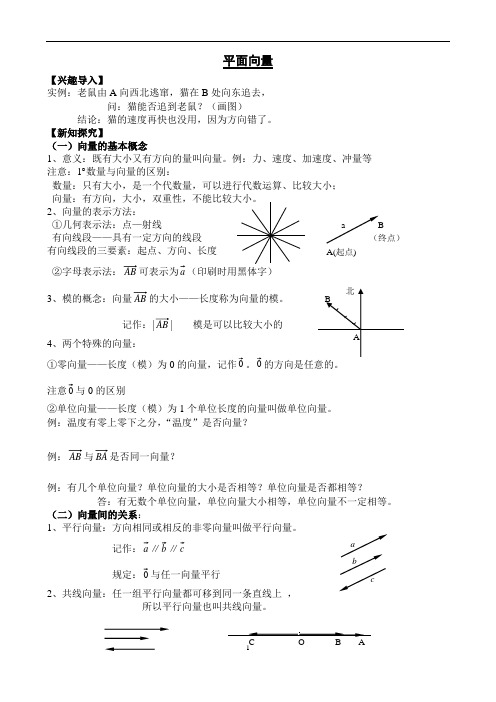 平面向量 高一学案1