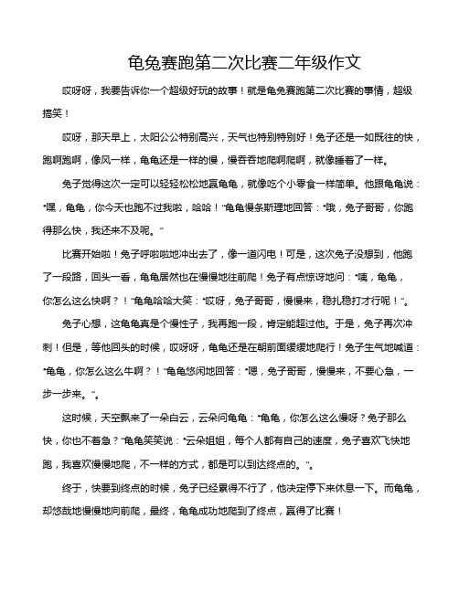 龟兔赛跑第二次比赛二年级作文