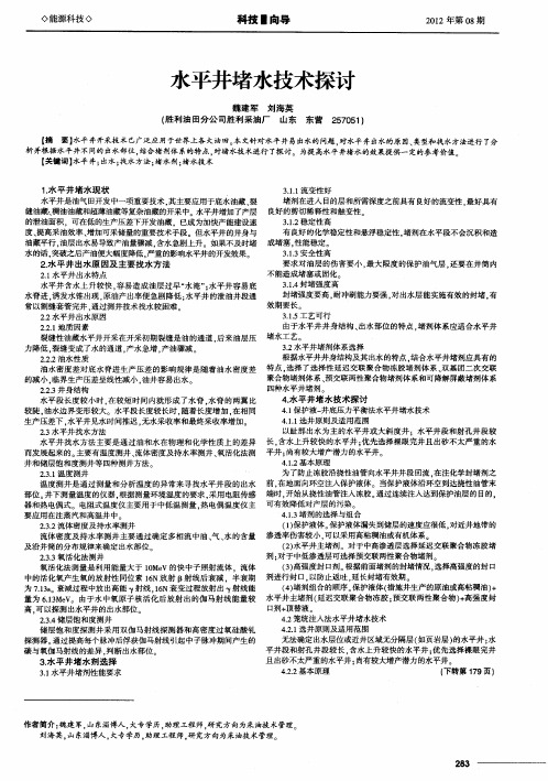 水平井堵水技术探讨