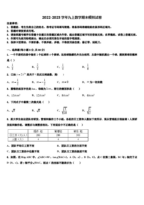 2022年湖北省武汉市部分重点学校数学九上期末质量跟踪监视试题含解析