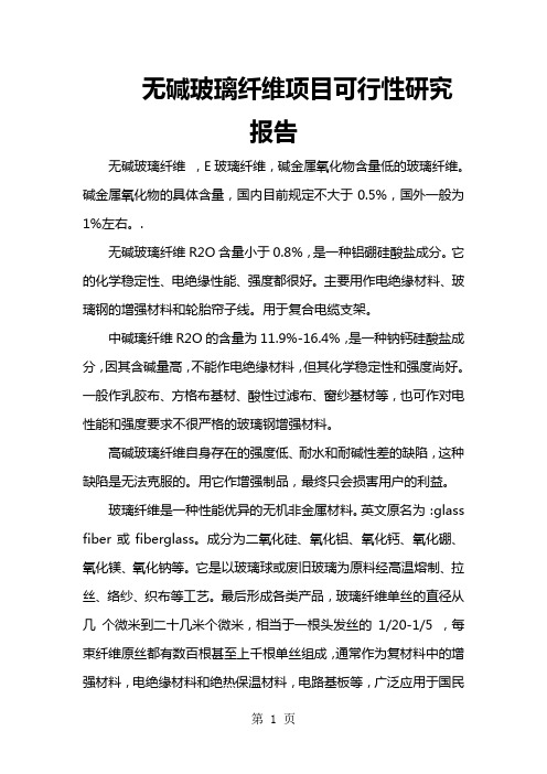 无碱玻璃纤维项目可行性研究报告word精品文档17页