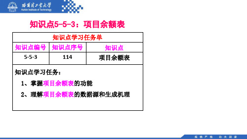 (114)5.5.3：项目余额表