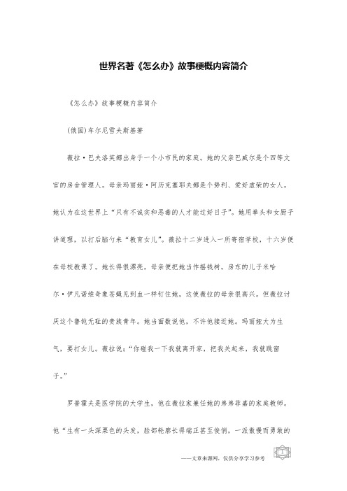 世界名著《怎么办》故事梗概内容简介