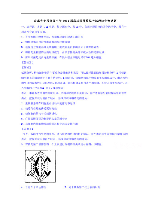 山东省单县第五中学2016届高三四月模拟考试理综生物试