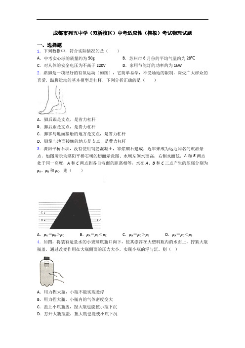 成都市列五中学(双桥校区)中考适应性(模拟)考试物理试题