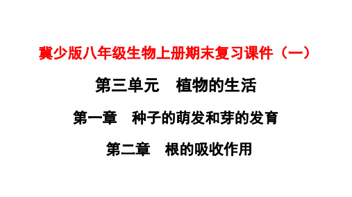 冀少版八年级生物上册期末复习课件(一)