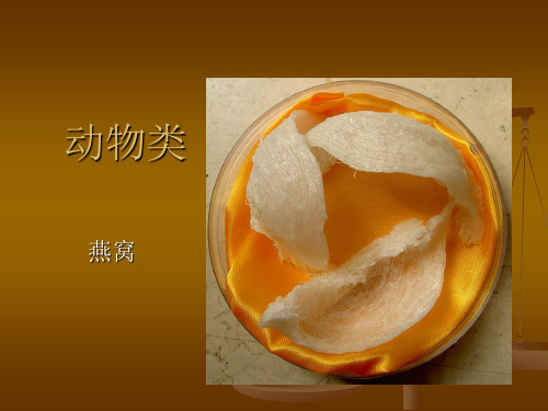 烹饪食材(燕窝)