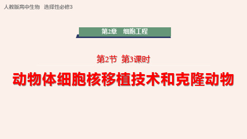 【高中生物】动物体细胞核移植技术和克隆动物课件 高二下学期生物人教版选择性必修3