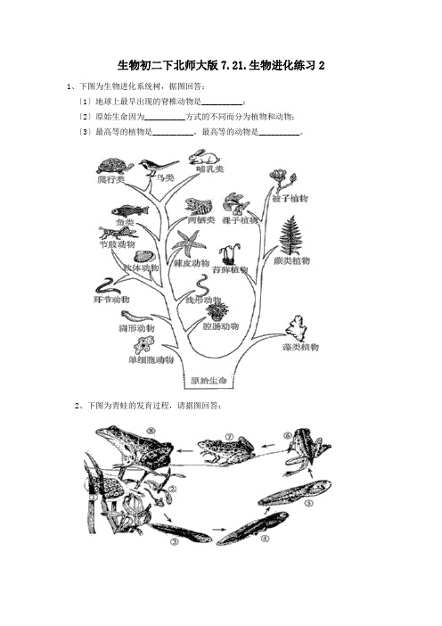 生物初二下北师大版7.21.生物进化练习2