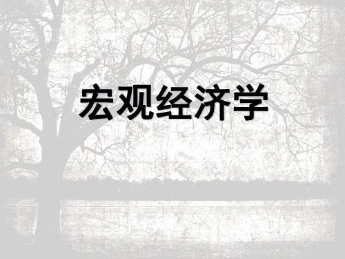 尹伯成宏观经济学