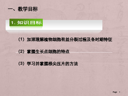 观察大蒜根尖细胞有丝分裂