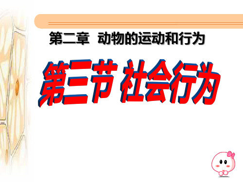 《社会行为》动物的运动和行为6-人教版八年级生物上册PPT课件