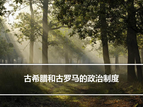 历史用古希腊和古罗马的政治制度复习课件