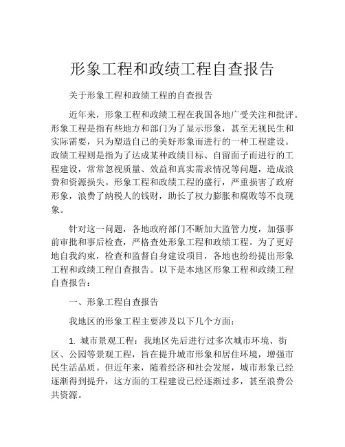 形象工程和政绩工程自查报告