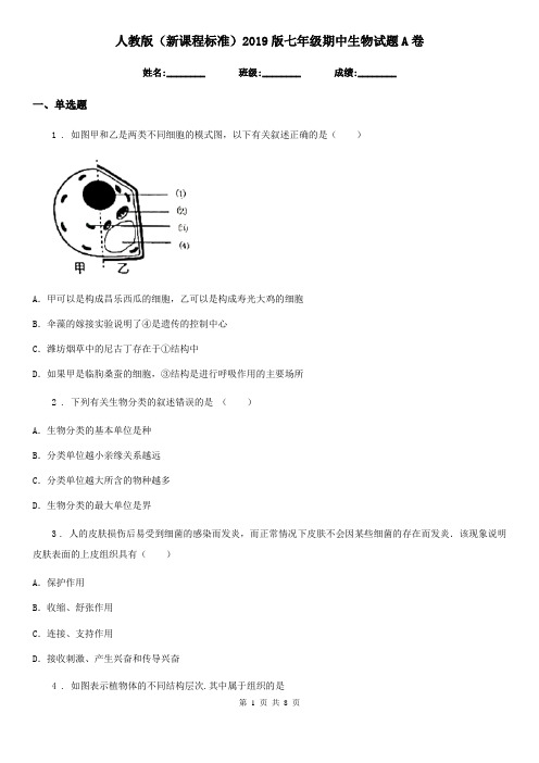 人教版(新课程标准)2019版七年级期中生物试题A卷