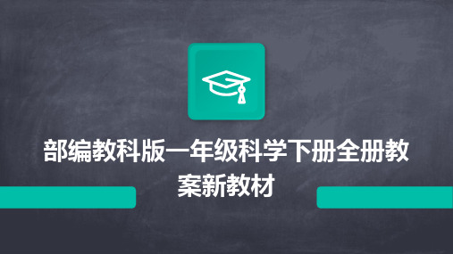 部编教科版一年级科学下册全册教案新教材2024新版