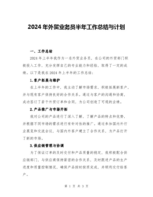 2024年外贸业务员半年工作总结与计划