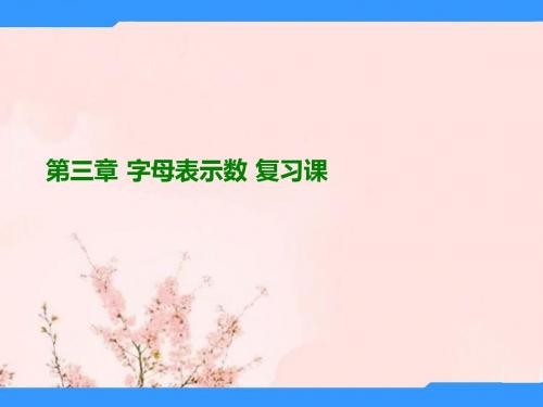 广东省中大附中三水实验学校七年级数学上册《第三章 字母表示数》课件 北师大版