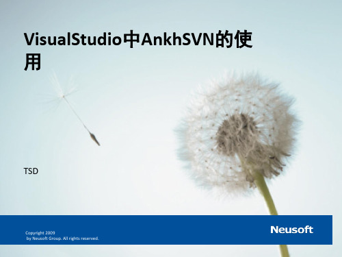 VisualStudio中AnkhSVN的使用