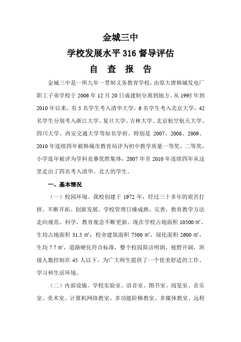 工作总结316督导评估自查报告