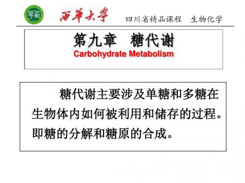 生物化学 第九章 糖代谢1