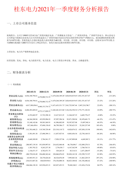 桂东电力2021年一季度财务分析报告