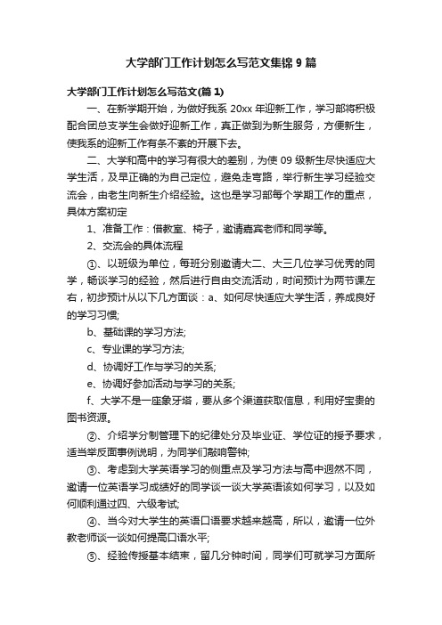 大学部门工作计划怎么写范文集锦9篇