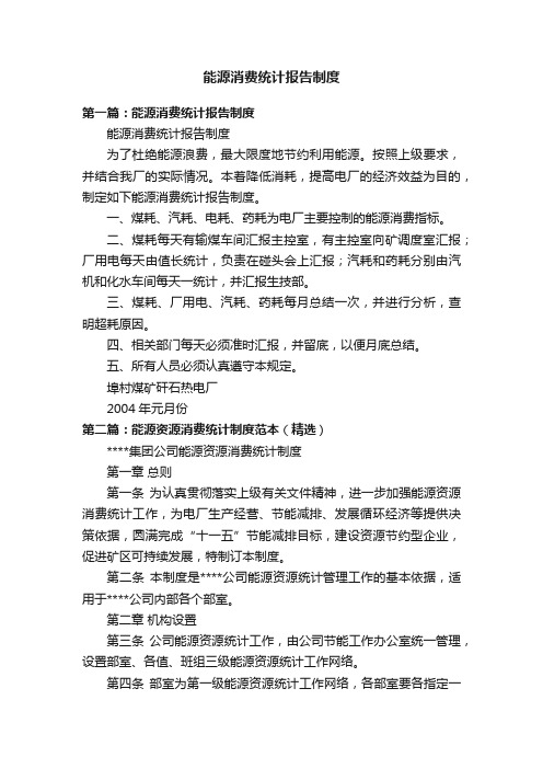 能源消费统计报告制度