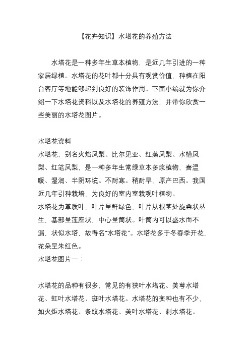 【花卉知识】水塔花的养殖方法