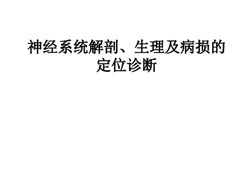 神经系统解剖生理和病损的定位诊断