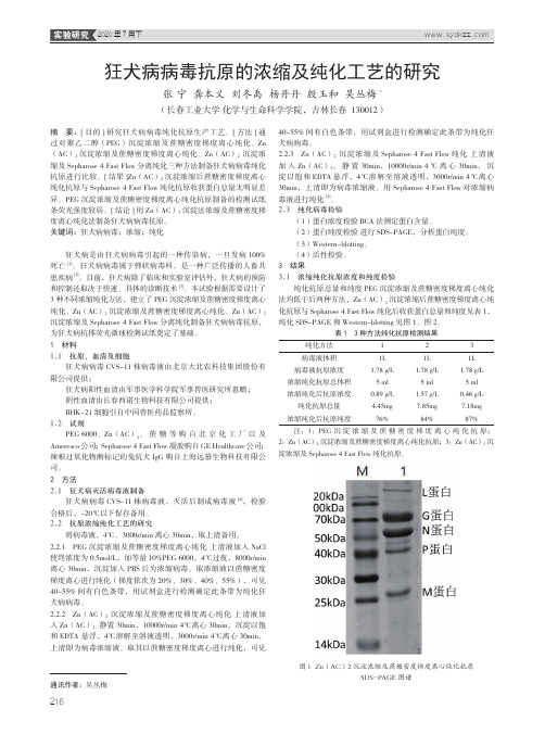 狂犬病病毒抗原的浓缩及纯化工艺的研究