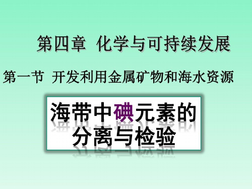 实验2-3从海带中提取碘