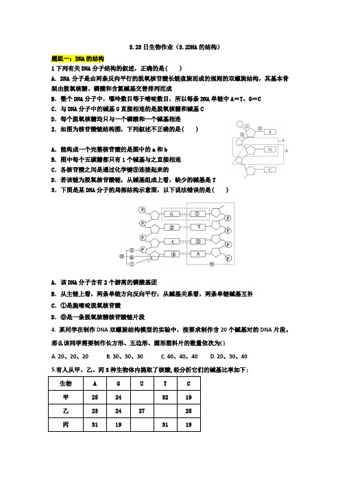 2020新高考人教新版生物必修二DNA的结构练习题