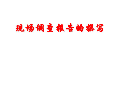 现场调查报告的撰写