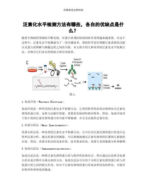 泛素化水平检测方法有哪些,各自的优缺点是什么？