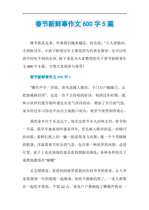 春节新鲜事作文600字5篇