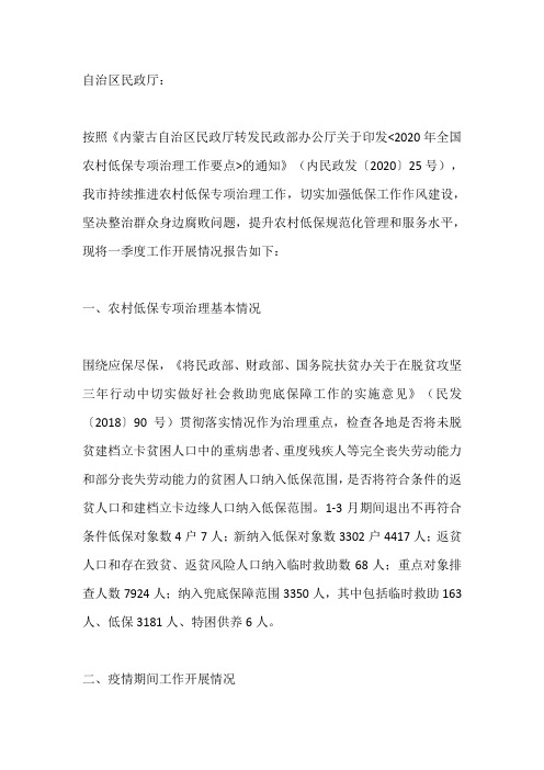 民政局2020年一季度农村低保专项治理工作总结报告