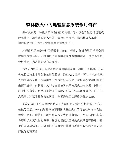 森林防火中的地理信息系统作用何在