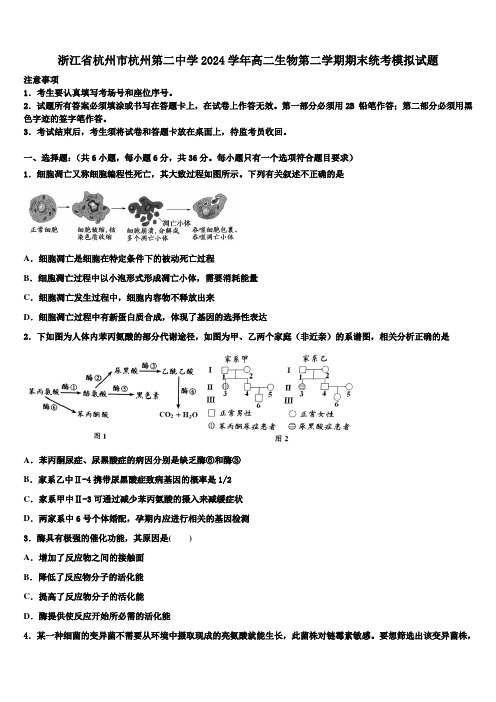 浙江省杭州市杭州第二中学2024学年高二生物第二学期期末统考模拟试题(含解析)